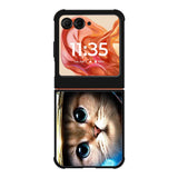 Space Cat Motorola Moto Razr 2025/2024 , Moto Razr 60/50 Case BC1165