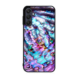 Abalone Shell Samsung Galaxy A25 5G Case BC1523