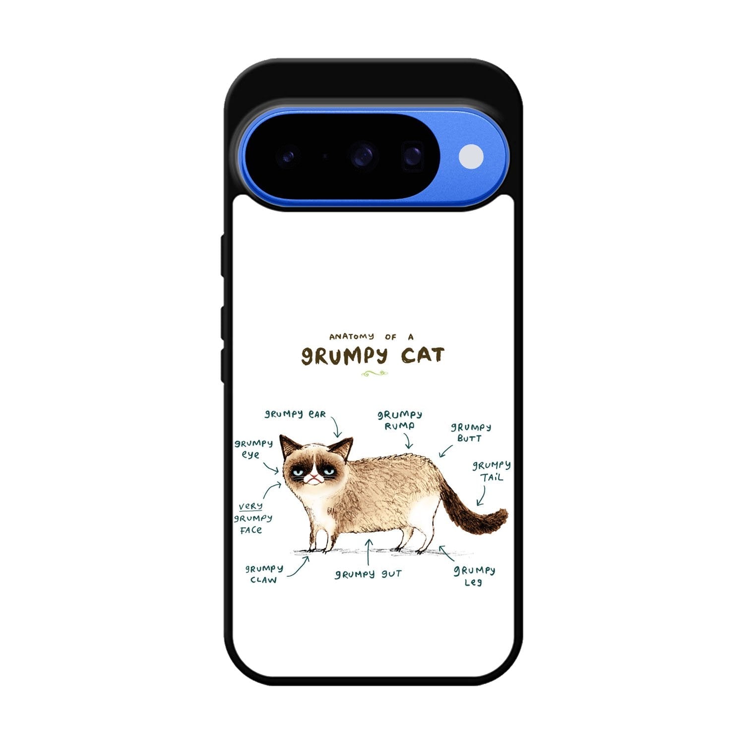 Anatomy Of A Grumpy Kitty X5744 Google Pixel 10 Case