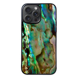 Abalone Shell Case iPhone 15 Pro BC2363