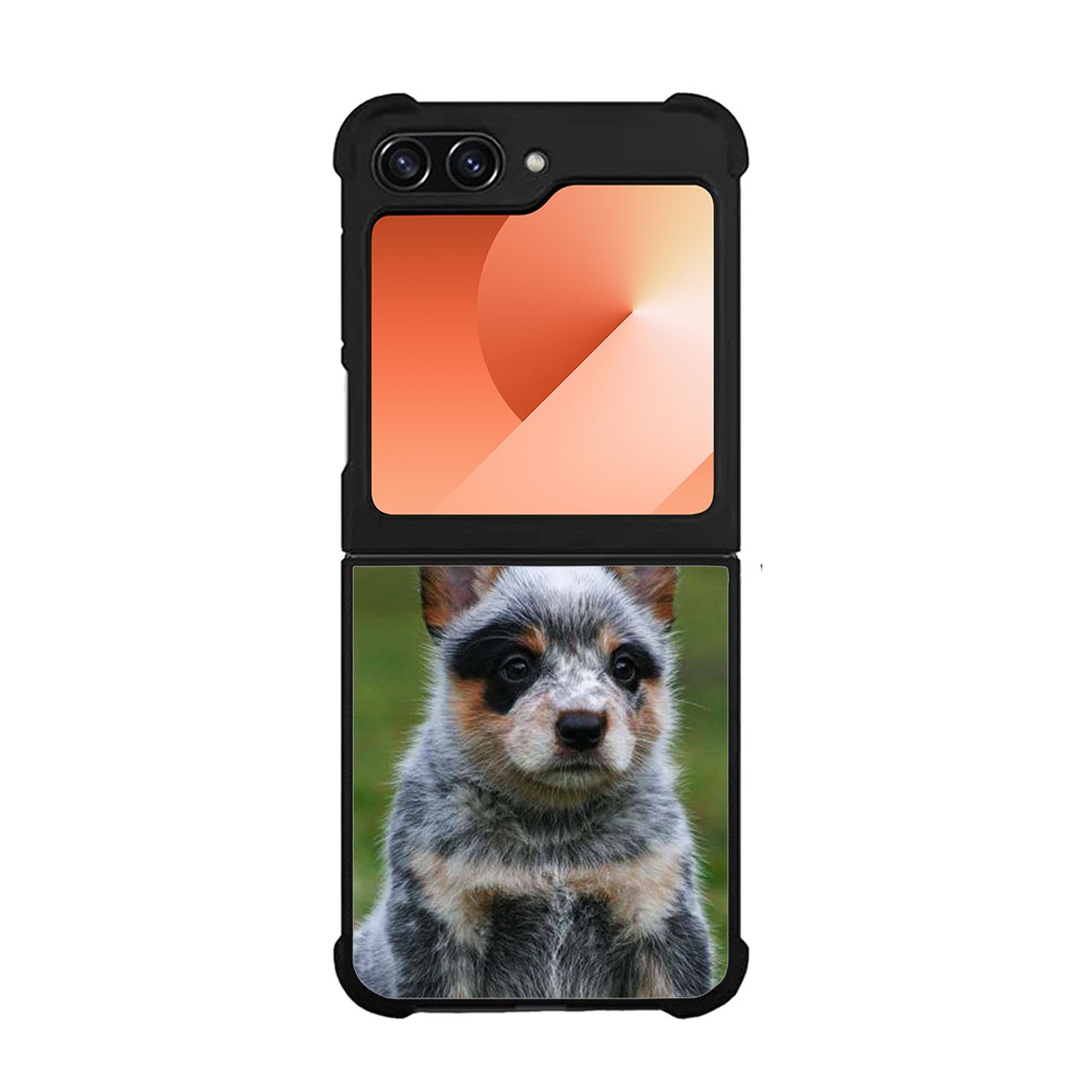Australian Cattle Dog Case Samsung Galaxy Z Flip 6 5G BC2513