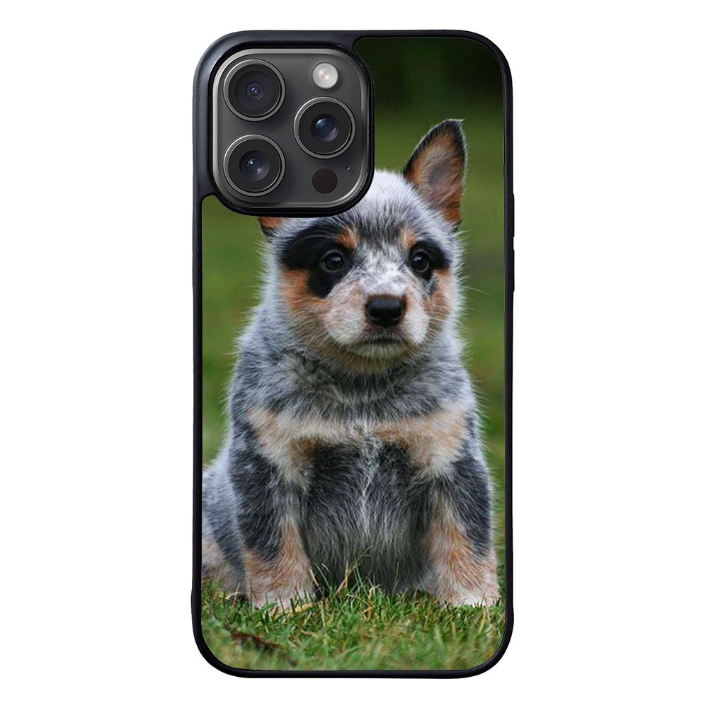 Australian Cattle Dog Case iPhone 15 Pro Max BC2513