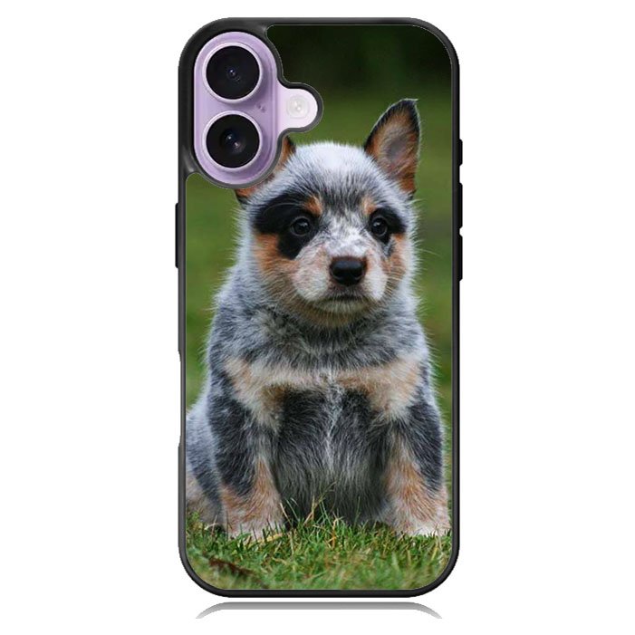 Australian Cattle Dog iPhone 17 Case BC2513