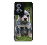Australian Cattle Dog Motorola Moto Edge 2024 Case BC2513