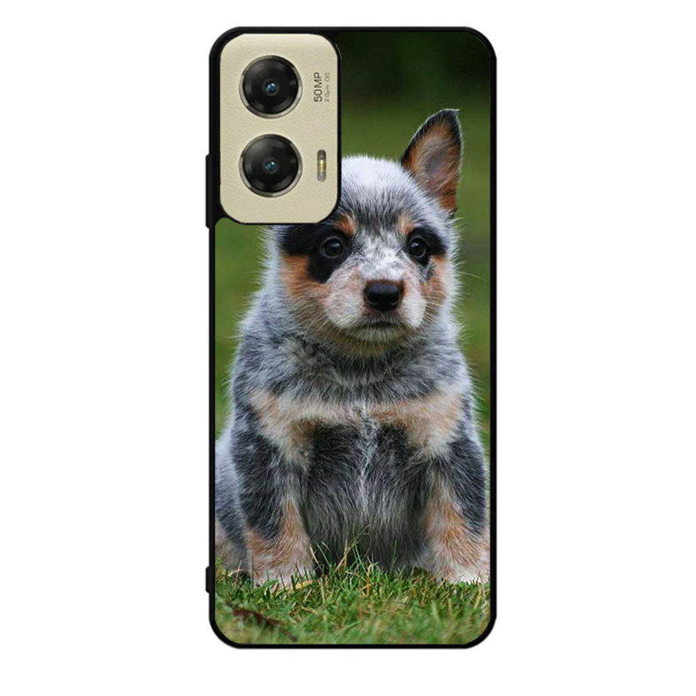 Australian Cattle Dog Case Motorola Moto G Stylus 2024 5G BC2513