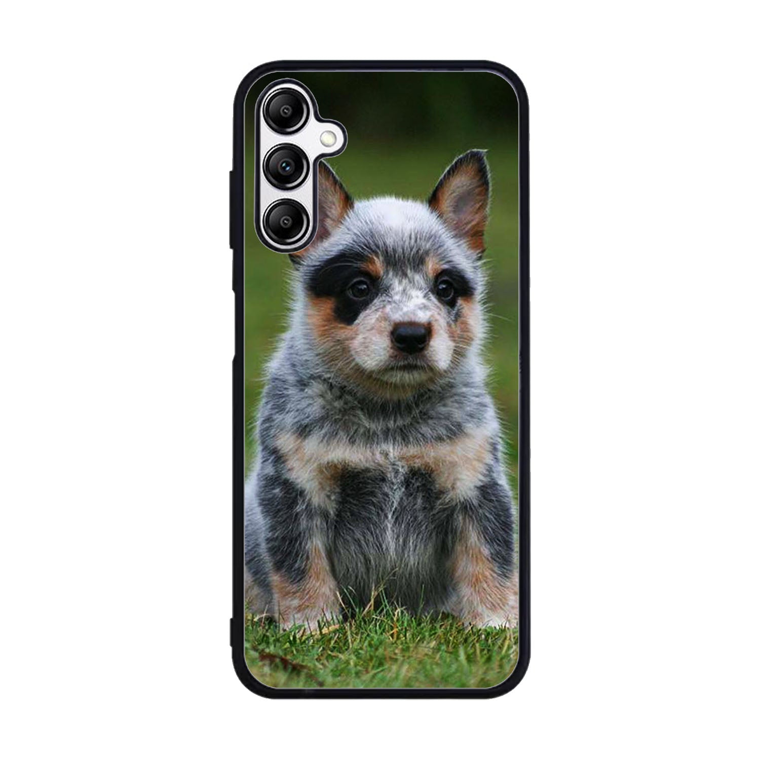 Australian Cattle Dog Case Samsung Galaxy A15 BC2513