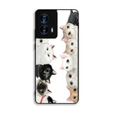 Cat Community Motorola Moto G Power 5G 2024 Case FE2260