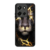Gold Lion Motorola Moto G 5G 2025 Case FE0408