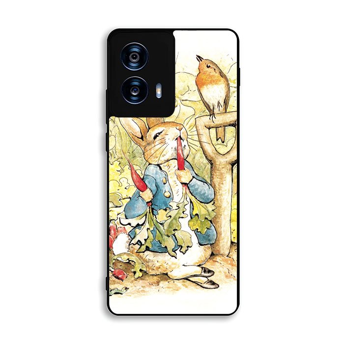 Beatrix Potter Peter Rabbit Motorola Moto G Power 5G 2024 Case FE2465