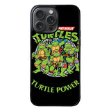 Teenage Mutant Ninja Turtles TMNT Heroes Cartoon Case iPhone 15 Pro Max BC1049