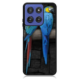 Cute Couple of Birds Parrot Pair Couple Animal Bird Motorola Moto G Stylus 5G 2025 Case