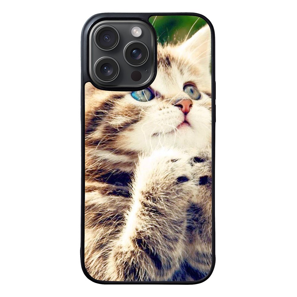 Prayer cat Case iPhone 15 Pro BC1109