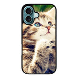 Prayer cat Case iPhone 16 Plus BC1109