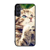 Prayer cat Samsung Galaxy A25 5G Case BC1109