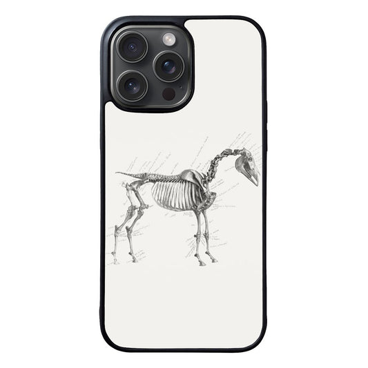 Anatomy of The Horse FZ2122 iPhone 16 Pro Max Case