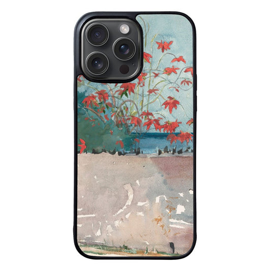 A Wall Nassau FZ2226 iPhone 16 Pro Max Case