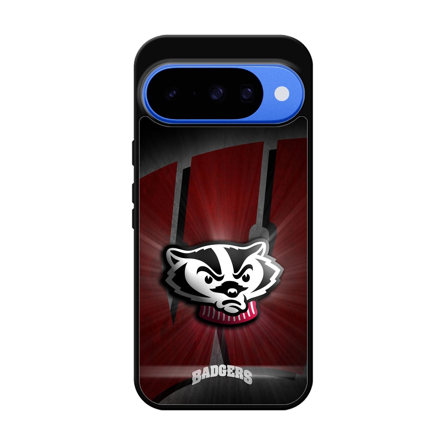 wisconsin badger X00765 Google Pixel 10 Case