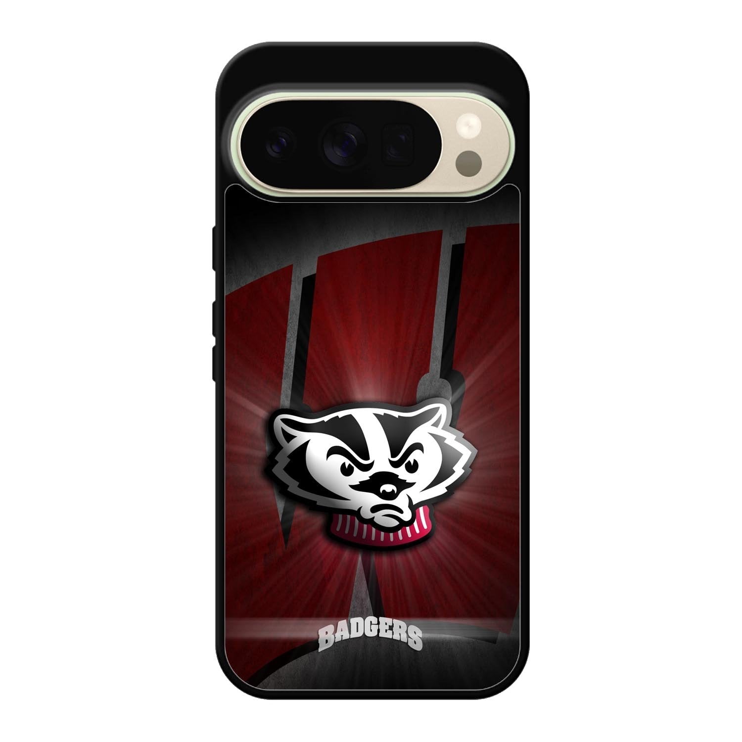 wisconsin badger X00765 Google Pixel 10 Pro Case