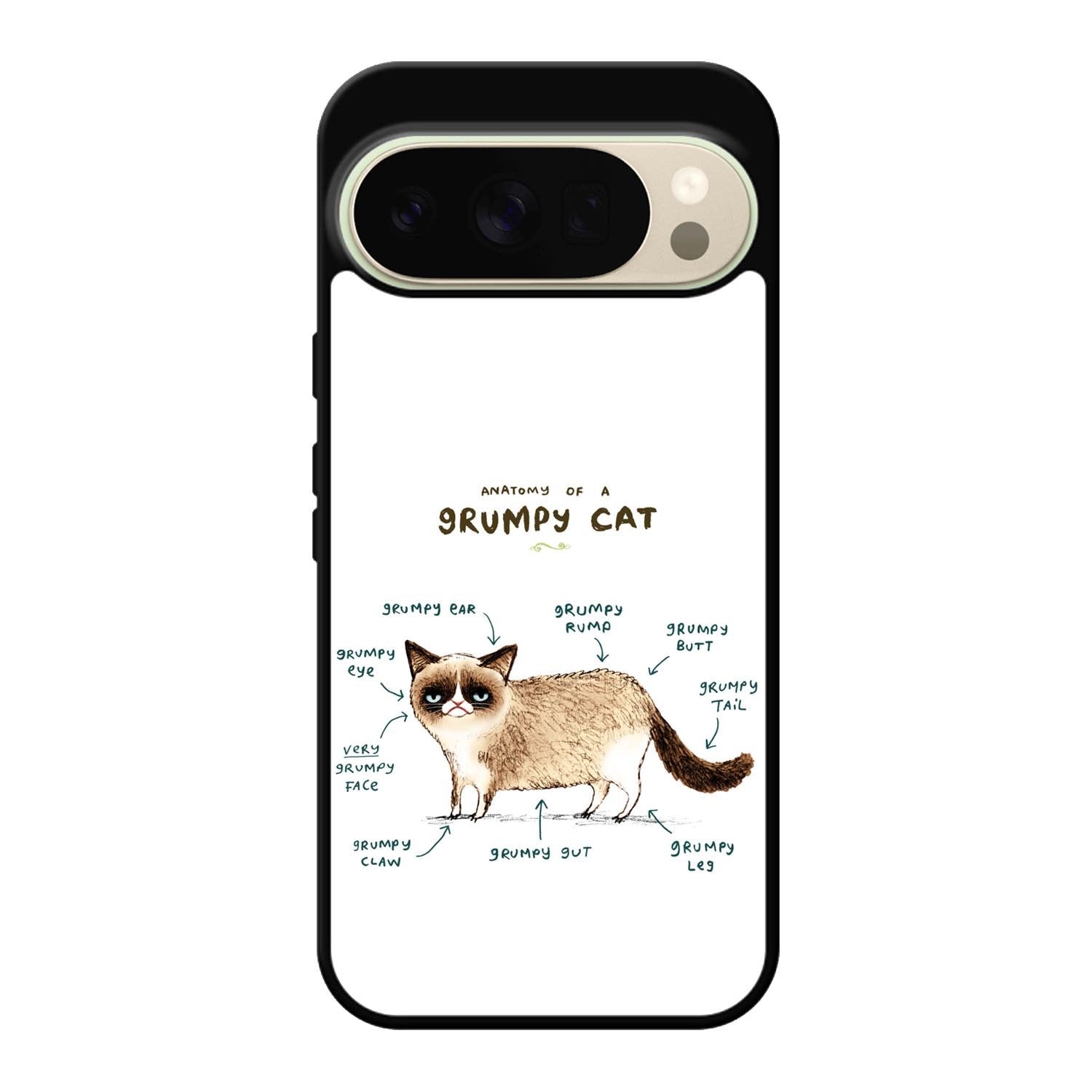 Anatomy Of A Grumpy Kitty X5744 Google Pixel 10 Pro Case