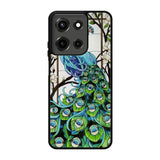 peacock stained glass Motorola Moto G 5G 2025 Case BC0913