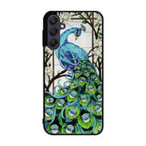 peacock stained glass Samsung Galaxy A25 5G Case BC0913
