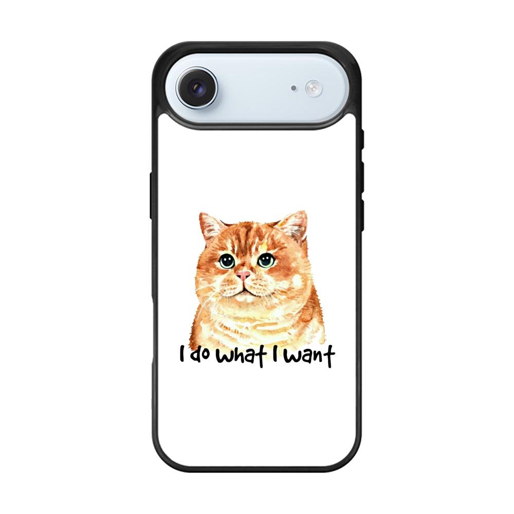 I do what what iPhone Air Case FE0362