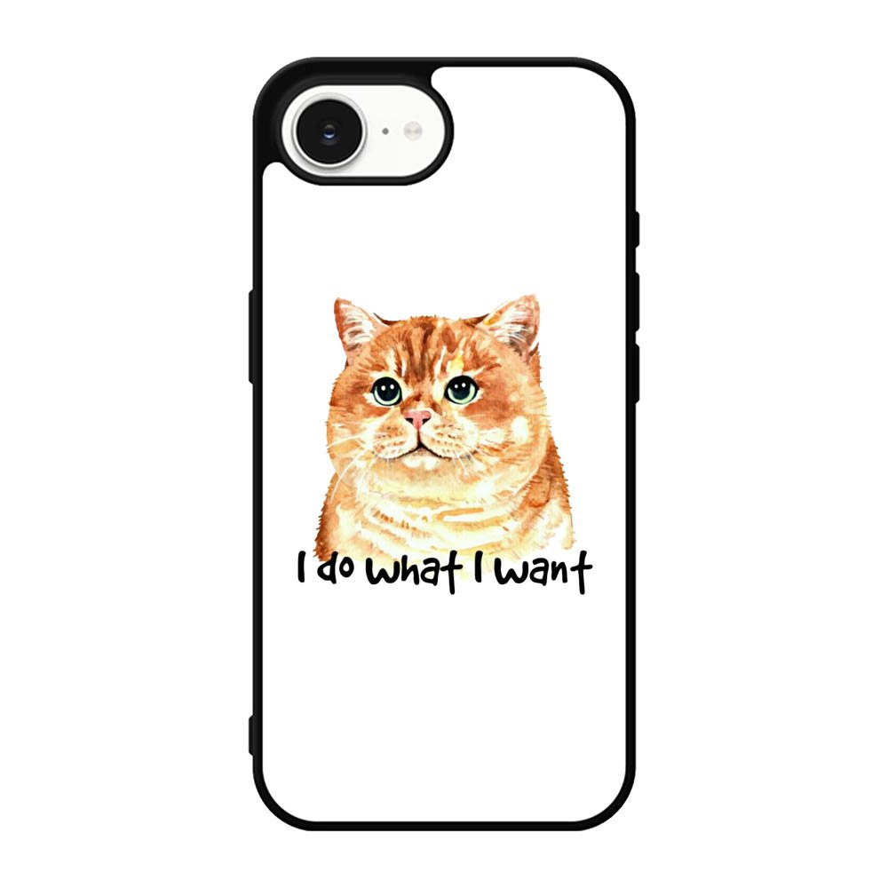 I do what what iPhone 17e Case FE0362