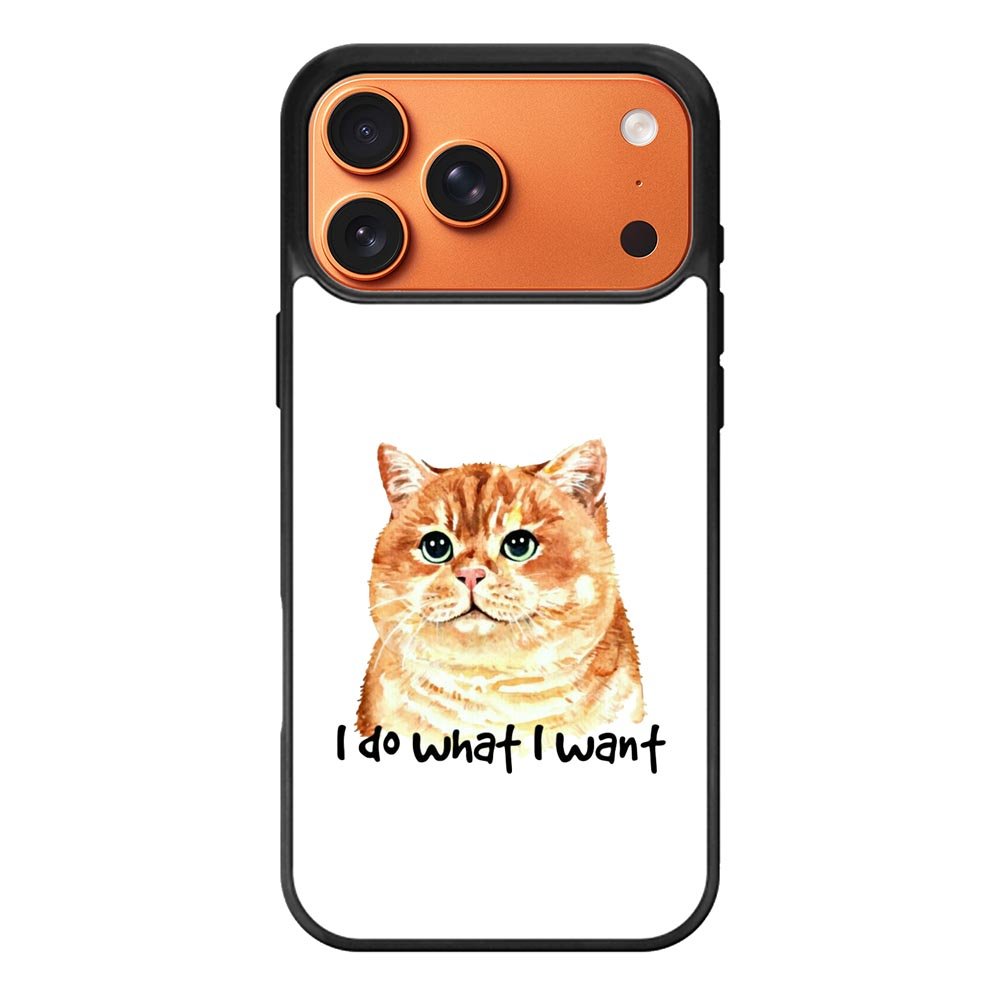 I do what what iPhone 17 Pro Max Case FE0362