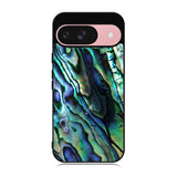 Enormous Natural Abalone Case Google Pixel 9 BC2362