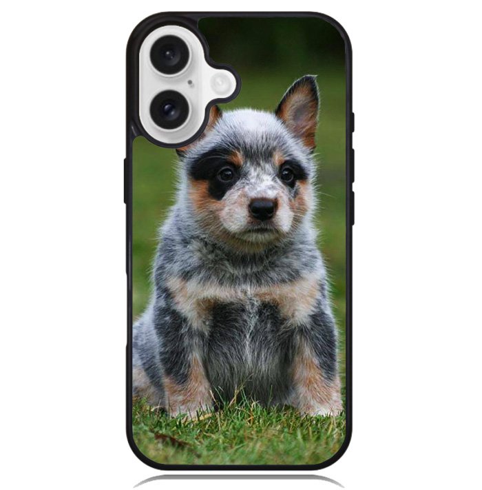 Australian Cattle Dog Case iPhone 16 BC2513