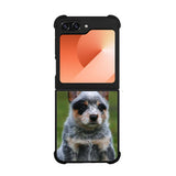 Australian Cattle Dog Case Samsung Galaxy Z Flip 6 5G BC2513