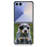 Australian Cattle Dog Samsung Galaxy Z Flip 7 Case BC2513