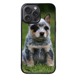 Australian Cattle Dog Case iPhone 15 Pro Max BC2513