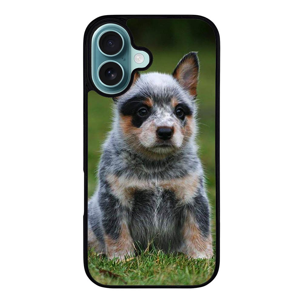 Australian Cattle Dog Case iPhone 16 Plus BC2513