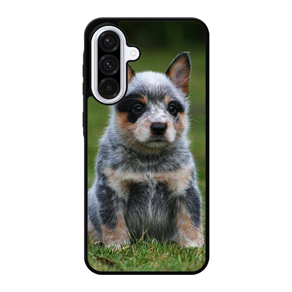 Australian Cattle Dog Samsung Galaxy A56 Case BC2513