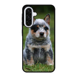 Australian Cattle Dog Samsung Galaxy A56 Case BC2513
