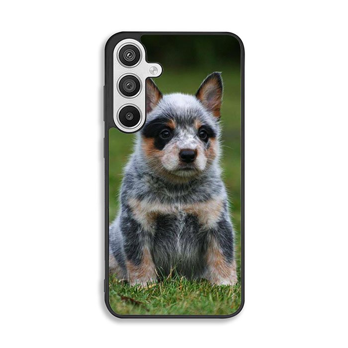 Australian Cattle Dog Samsung Galaxy A26 Case BC2513