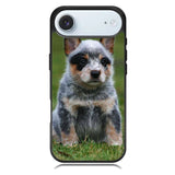 Australian Cattle Dog iPhone 17 Air Case BC2513