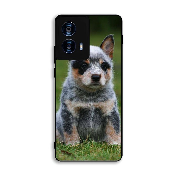 Australian Cattle Dog Motorola Moto G Power 5G 2024 Case BC2513