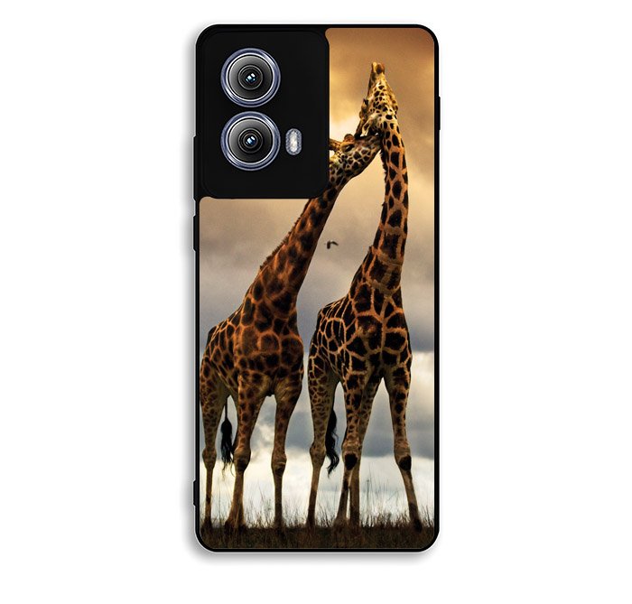 giraffes photography Motorola Moto Edge 2024 Case FE3646