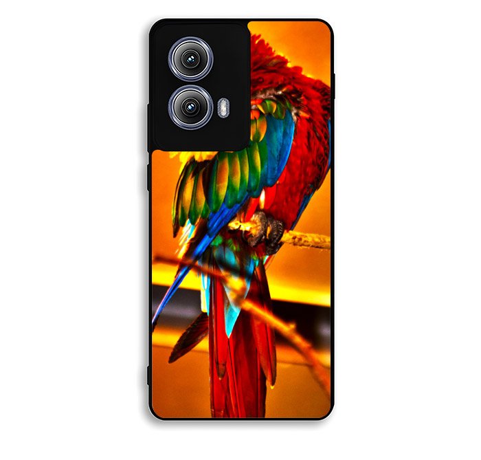 Scarlet Macaw Parrot Motorola Moto Edge 2024 Case BC2544