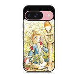 Beatrix Potter Peter Rabbit Case Google Pixel 9 BC2998
