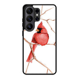 Bird Samsung Galaxy S26 Plus Case DC0187