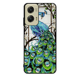 peacock stained glass Case Motorola Moto G Stylus 2024 5G BC0913