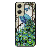 peacock stained glass X9167 Motorola Moto G Stylus 5G 2024 Case