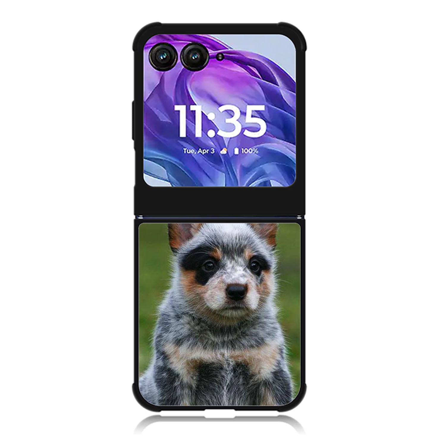 Australian Cattle Dog Motorola Moto Razr 2024 , Moto Razr 50 Case FE2513