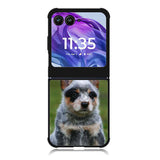 Australian Cattle Dog Motorola Moto Razr 2024 , Moto Razr 50 Case FE2513