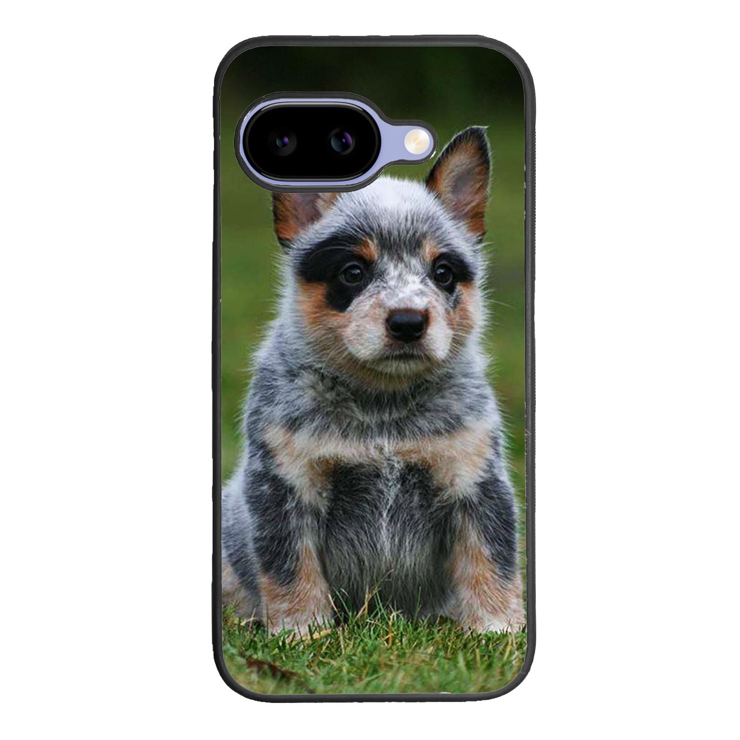 Australian Cattle Dog Case Google Pixel 9A BC2513