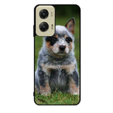 Australian Cattle Dog Case Motorola Moto G Stylus 2024 5G BC2513