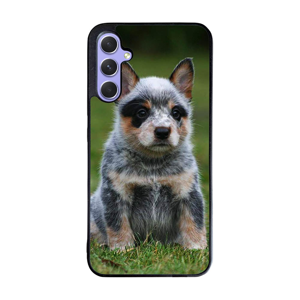 Australian Cattle Dog Case Samsung Galaxy A55 5G BC2513
